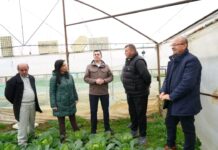 Llatja: Investimet në infrastrukturë po fuqizojnë bujqësinë në Jagodinë