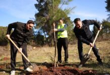 Elbasan/Aksioni i mbjelljeve dhe gjelbërimit: Mbi 14 mijë pemë të mbjella, Krasta në qendër të fushatës së pyllëzimit.