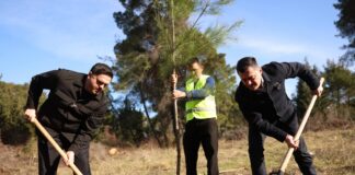 Elbasan/Aksioni i mbjelljeve dhe gjelbërimit: Mbi 14 mijë pemë të mbjella, Krasta në qendër të fushatës së pyllëzimit.