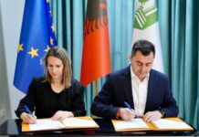 Elbasani mikpret Democracy Week 2026, Bashkia nënshkruan marrëveshje bashkëpunimi