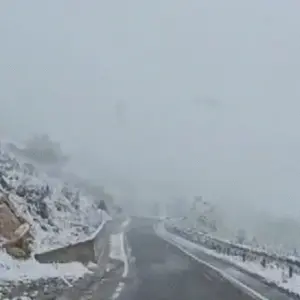 Reshjet e dëborës në Qarkun e Shkodrës, Prefektura: Qarkullimi vijon normalisht, po monitorojmë situatën