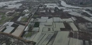 Përmbytjet në vend, Ministria e Mbrojtjes me reagim zyrtar: Ja qarqet ku pritet të ketë problematika