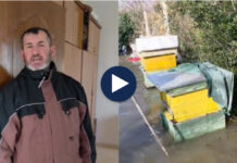 Banja hap portat, përmbytje në Kuçovë dhe Fier/ Banorët: Policia na paralajmëroi të largohemi nga shtëpitë