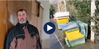 Banja hap portat, përmbytje në Kuçovë dhe Fier/ Banorët: Policia na paralajmëroi të largohemi nga shtëpitë