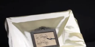 ADN-ja e Da Vincit, e fshehur në punët e tij? Zbulimi shokues, çfarë u gjet në piktura