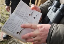 Regjistrohen zogjtë/ Në liqenet e Prespës shtohen shpendët e rrallë, do numërohen edhe në Ohër