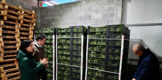 Gledian Llatja viziton investimin bujqësor në Jagodinë, model zhvillimi nga prodhimi te eksporti