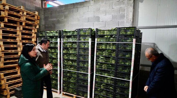 Gledian Llatja viziton investimin bujqësor në Jagodinë, model zhvillimi nga prodhimi te eksporti