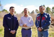 2,500 fidanë të rinj i shtohen Krastë ,35 mijë pemë në dy vite për mushkëritë e qytetit