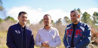 2,500 fidanë të rinj i shtohen Krastë ,35 mijë pemë në dy vite për mushkëritë e qytetit