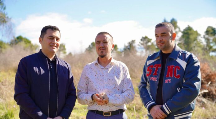 2,500 fidanë të rinj i shtohen Krastë ,35 mijë pemë në dy vite për mushkëritë e qytetit