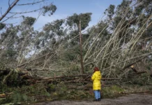 Sërish mot i keq në Portugali/ Priten reshje të reja shiu, 200,000 njerëz pa energji elektrike