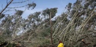 Sërish mot i keq në Portugali/ Priten reshje të reja shiu, 200,000 njerëz pa energji elektrike