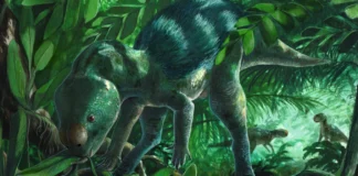 Një specie e re dinosauri e vogël është zbuluar në Spanjë