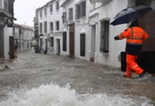 Alarmi i shkencëtarëve/ Bota drejt ngrohjes globale me 3°C, Europa ende e papërgatitur