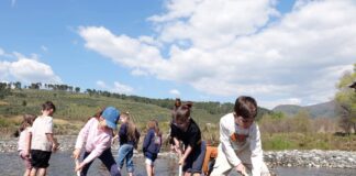“Green Schoolyards”, nisma që po gjelbëron shkollat e Elbasanit