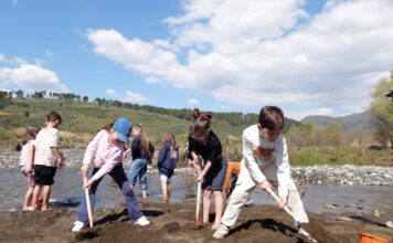 “Green Schoolyards”, nisma që po gjelbëron shkollat e Elbasanit