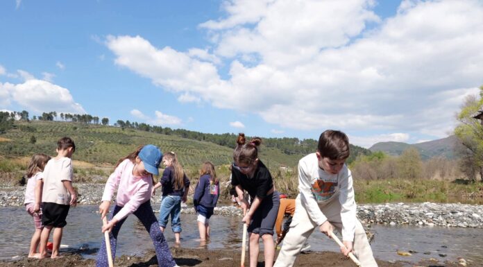 “Green Schoolyards”, nisma që po gjelbëron shkollat e Elbasanit