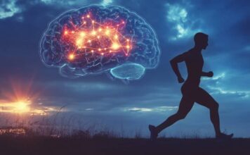Ushtrimet fizike “riprogramojnë” trurin dhe luftojnë lodhjen mendore