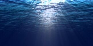 Oqeanet thyejnë rekordin e nxehtësisë, OBM: Klima e Tokës, më e zhbalancuar se kurrë