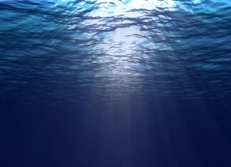 Oqeanet thyejnë rekordin e nxehtësisë, OBM: Klima e Tokës, më e zhbalancuar se kurrë