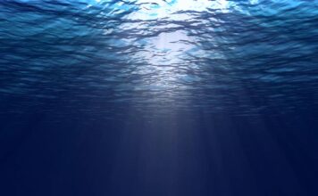 Oqeanet thyejnë rekordin e nxehtësisë, OBM: Klima e Tokës, më e zhbalancuar se kurrë