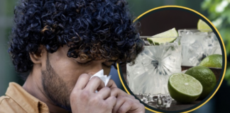 “Gin & Tonic” mund të lehtësojë simptomat e alergjisë sezonale, por nuk është kurë