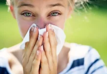 Pranvera po “troket”, si të mbroheni nga poleni dhe alergjitë sezonale