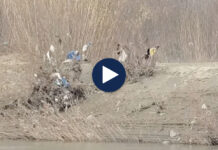 Ndotet lumi Seman/ Banorët në Dimal hedhin mbeturinat në lumë, mungon shërbimi i pastrimit