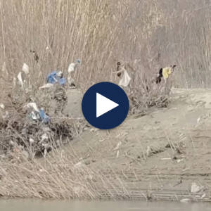 Ndotet lumi Seman/ Banorët në Dimal hedhin mbeturinat në lumë, mungon shërbimi i pastrimit