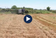 Rriten kostot në bujqësi, plehrat kimike dhe nafta shtrenjtojnë prodhimin bujqësor