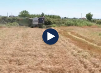 Rriten kostot në bujqësi, plehrat kimike dhe nafta shtrenjtojnë prodhimin bujqësor