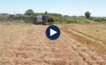 Rriten kostot në bujqësi, plehrat kimike dhe nafta shtrenjtojnë prodhimin bujqësor