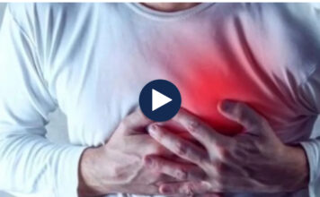 Injeksion që rigjeneron zemrën, zbulimi i ri mund të trajtojë dëmet nga infarkti me një dozë të vetme