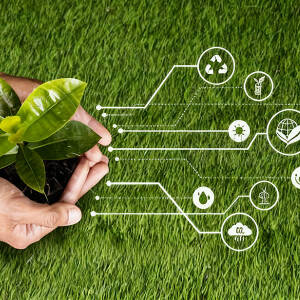 Shqipëria synon uljen e emetimeve dhe qëndrueshmëri klimaterike