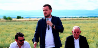 Salla: Subvencion deri në 10, 000 lekë/ha për fermat me mbi 3 ha