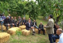 Qershia e Godoleshit, potencial ekonomik dhe model zhvillimi për bujqësinë lokale