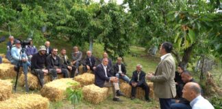 Qershia e Godoleshit, potencial ekonomik dhe model zhvillimi për bujqësinë lokale