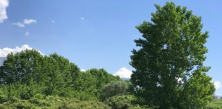 Moti sot me vranësira kalimtare dhe shira afatshkurtër në veri