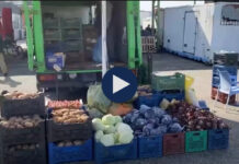Prodhimi vendas po shtohet, në tregun e Lushnjës perimet dhe frutat e stinës po tregtohen më lirë në këtë periudhë