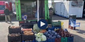Prodhimi vendas po shtohet, në tregun e Lushnjës perimet dhe frutat e stinës po tregtohen më lirë në këtë periudhë