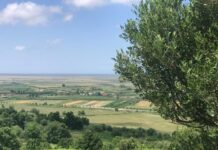 Moti sot i qëndrueshëm, temperatura deri në 24 gradë Celsius