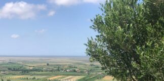 Moti sot i qëndrueshëm, temperatura deri në 24 gradë Celsius