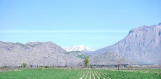 Ligji për shëndetin e bimëve, MBZHR: Rrisim mbrojtjen e prodhimit bujqësor dhe biodiversitetin