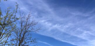 Mot i kthjellët me temperatura të larta deri në 36 gradë Celsius
