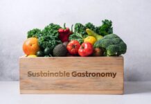 Dita e Gastronomisë së Qëndrueshme, apel për mos shpërdorim të burimeve natyrore