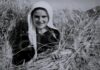 Korrja e grurit, fotografitë e 8 dekadave më parë, në arkivin e ATSH-së