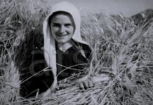 Korrja e grurit, fotografitë e 8 dekadave më parë, në arkivin e ATSH-së