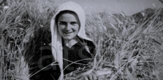 Korrja e grurit, fotografitë e 8 dekadave më parë, në arkivin e ATSH-së
