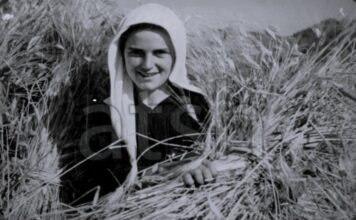 Korrja e grurit, fotografitë e 8 dekadave më parë, në arkivin e ATSH-së